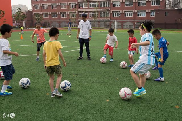 杨鸣：中国篮球的门面目前还得看女篮